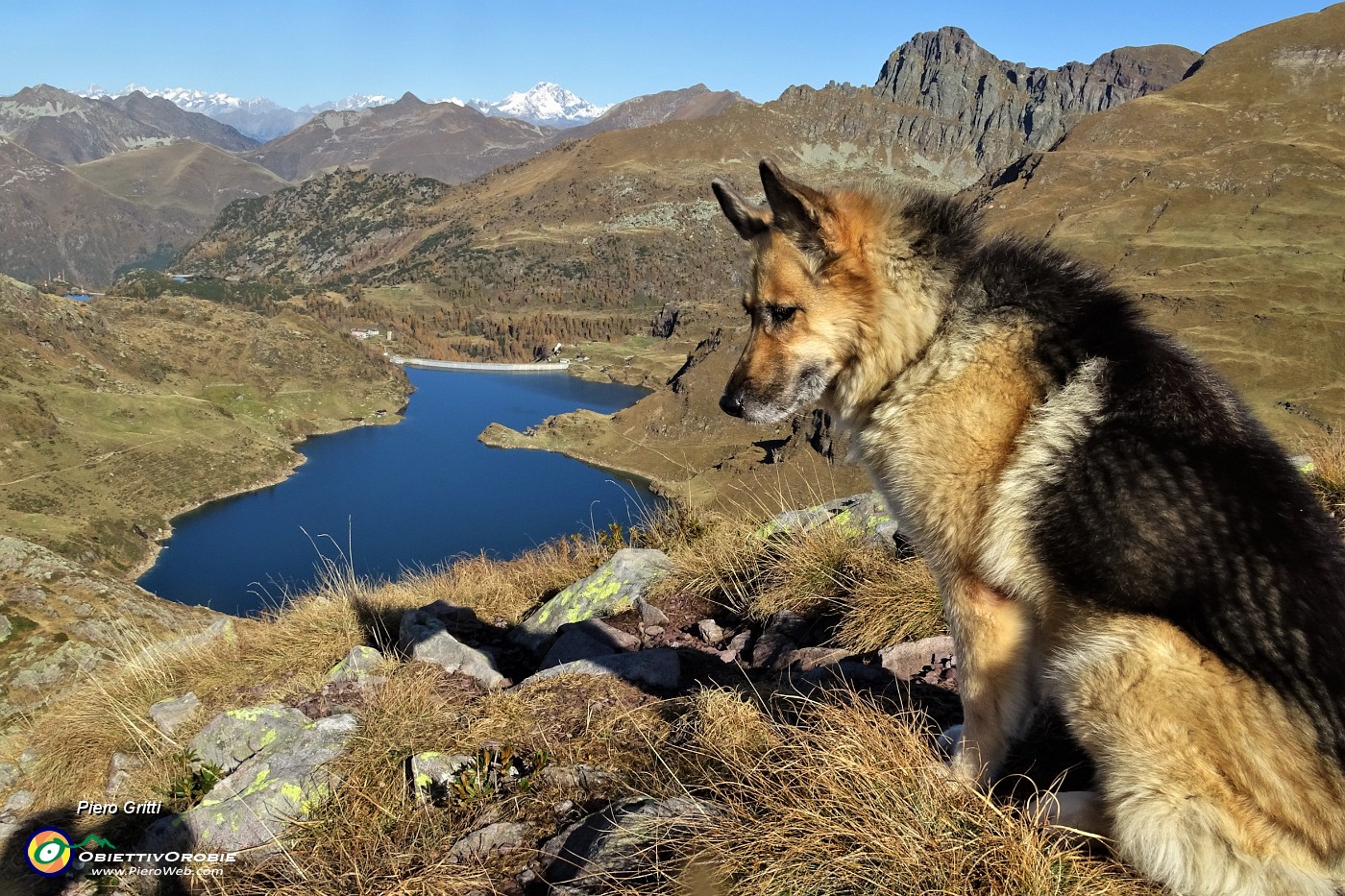 04 Dori in osservazione verso i Laghi Gemelli....JPG